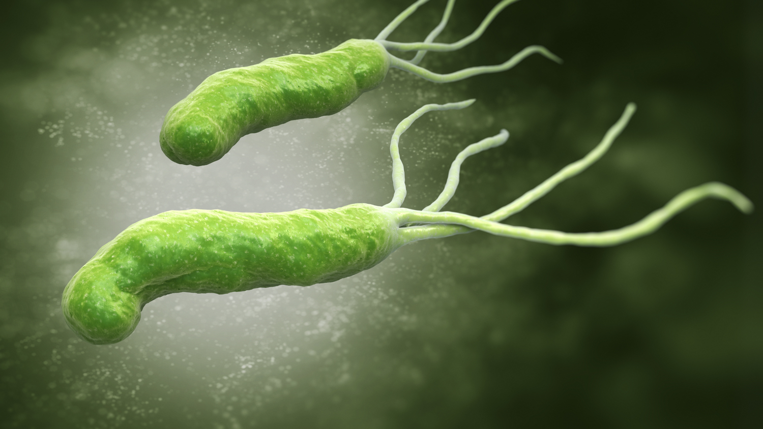 Helicobacter pylori: otra mirada