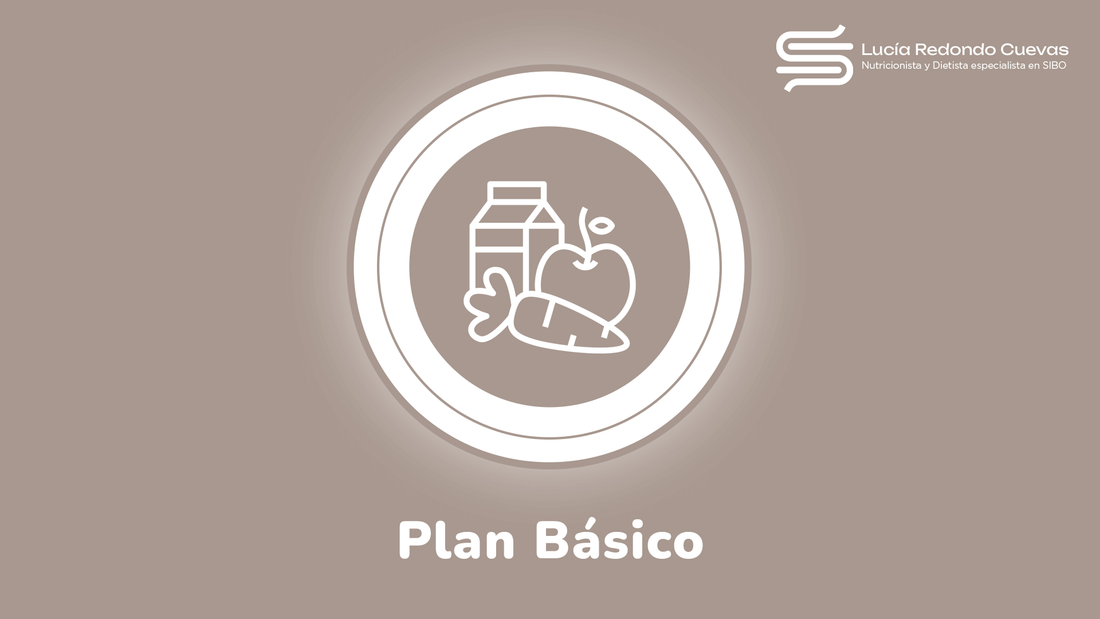 Plan Básico
