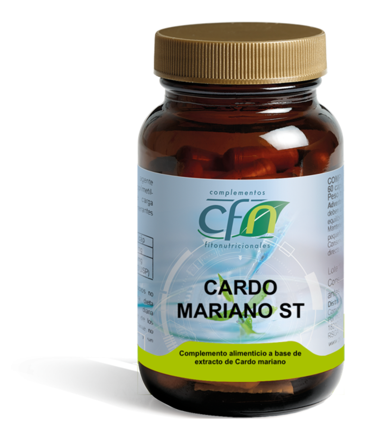 CARDO MARIANO ST
