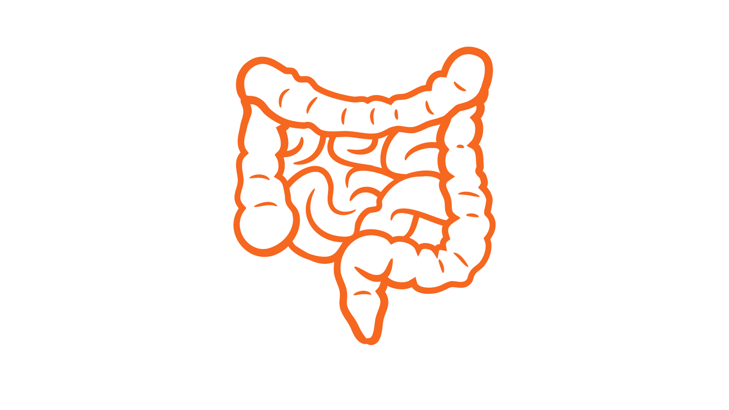 Test de permeabilidad intestinal