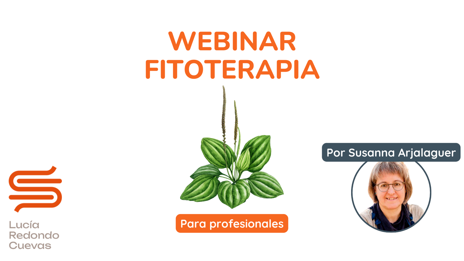Imagen de un curso de fitoterapia de Lucía Redondo Cuevas, con diapositivas y contenido sobre plantas medicinales.