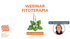Imagen de un curso de fitoterapia de Lucía Redondo Cuevas, con diapositivas y contenido sobre plantas medicinales.